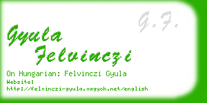 gyula felvinczi business card